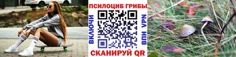 Псилоцибиновые грибы мицелий  hydra ссылки  Звенигово 